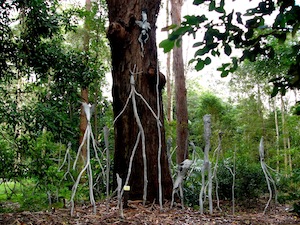 Tree Guardians